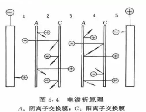 1550720900344167 (1).jpg